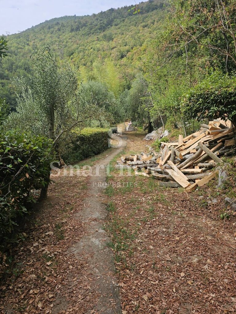 Image 6224193 - 25