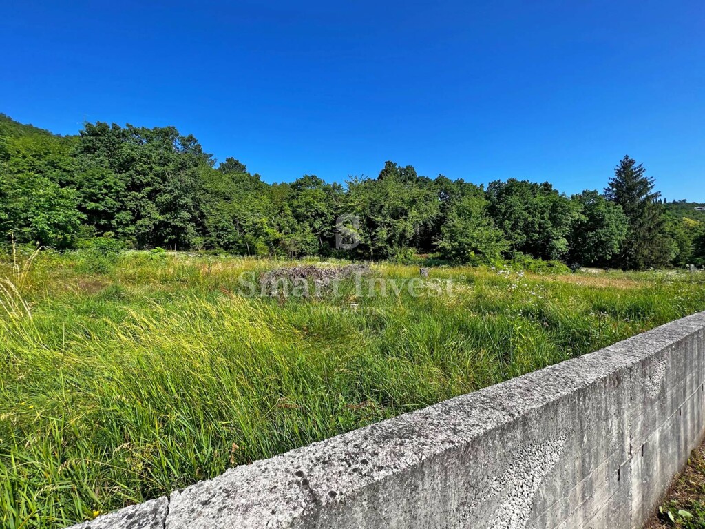 Image 6224208 - 8