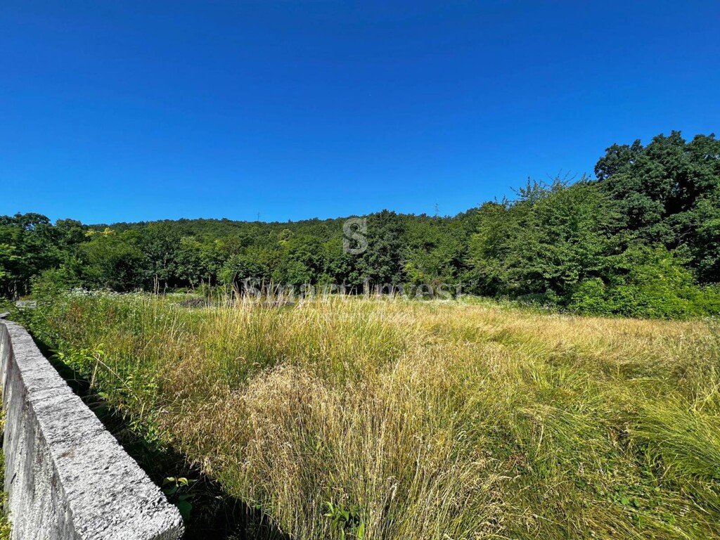 Image 6224208 - 2