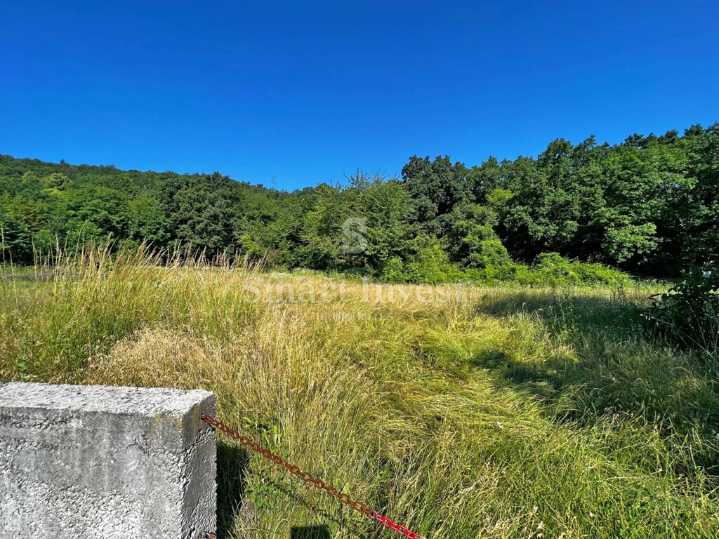 Image 6224208 - 1