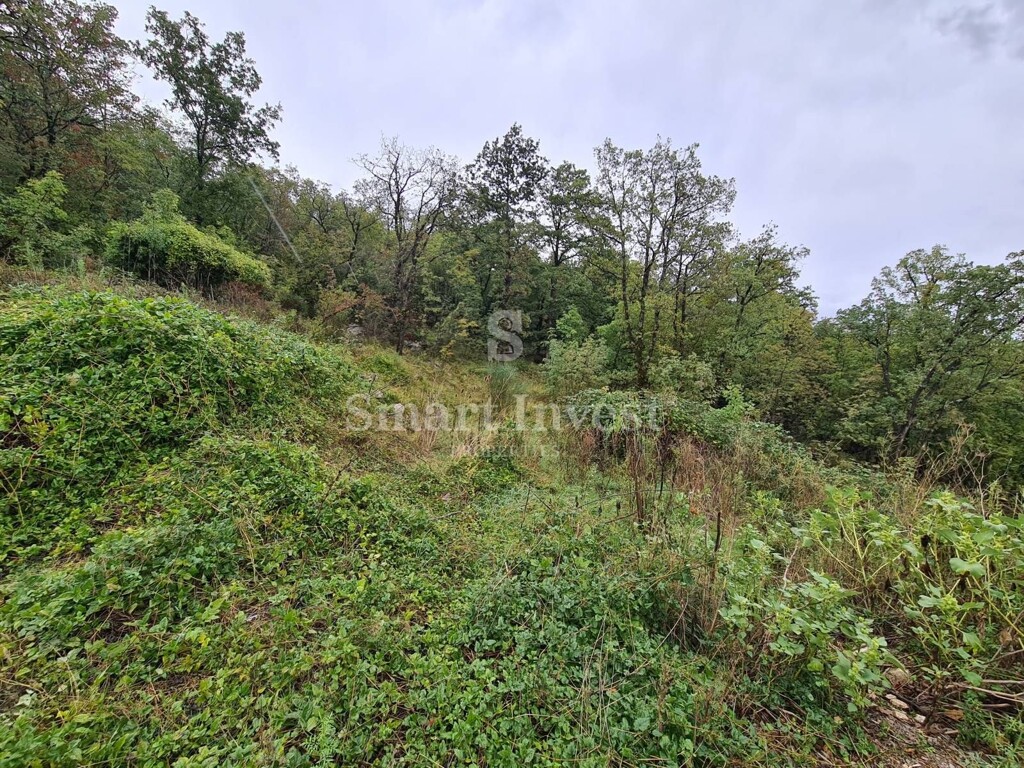 Image 6224211 - 1
