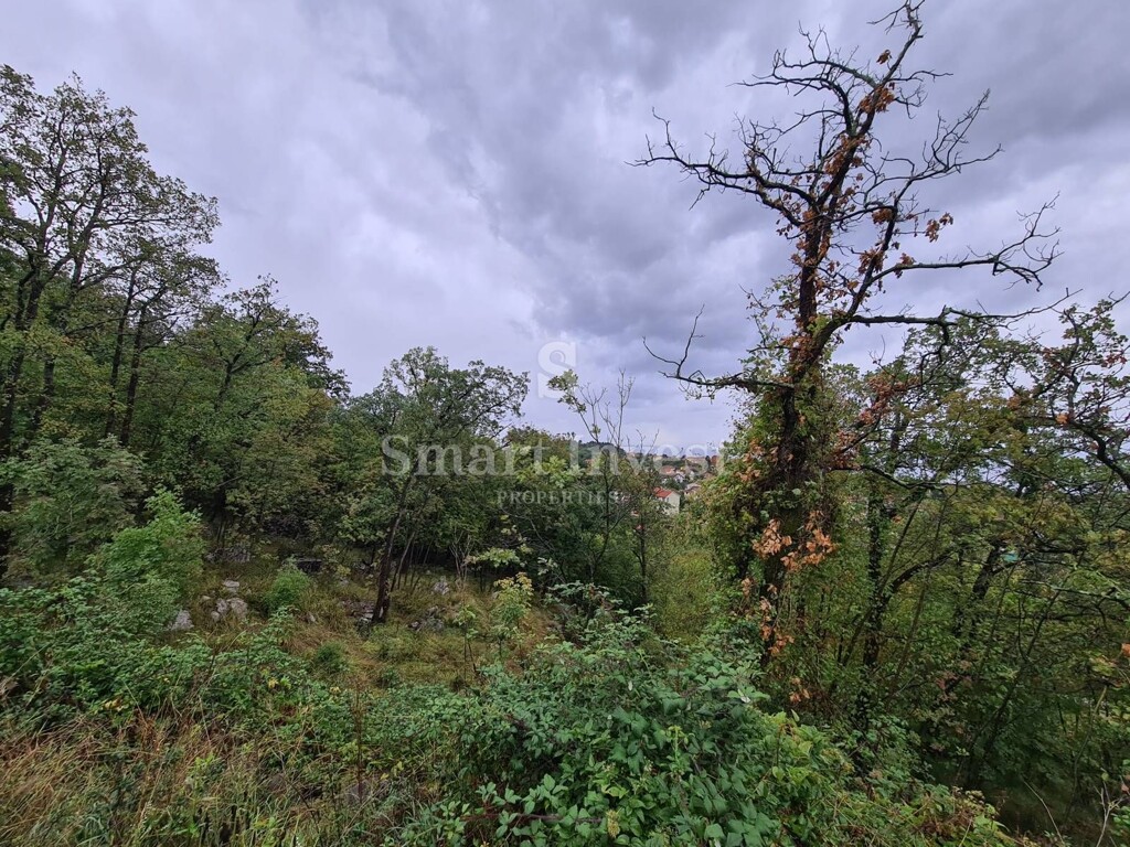 Image 6224211 - 2