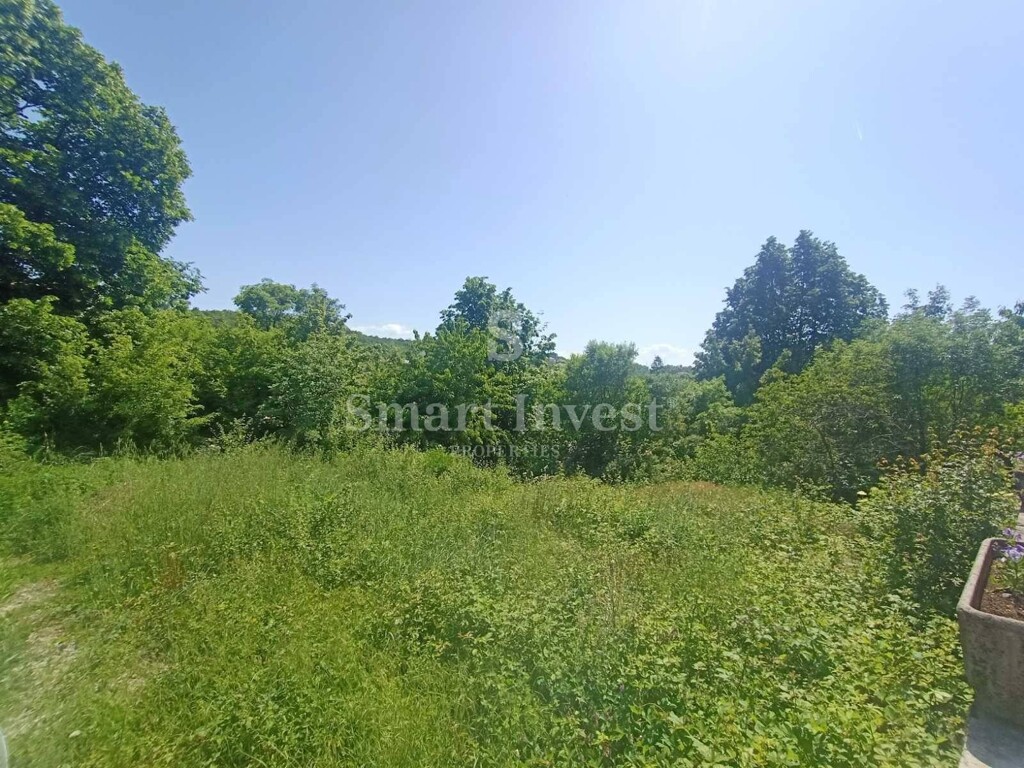 Image 6224223 - 1