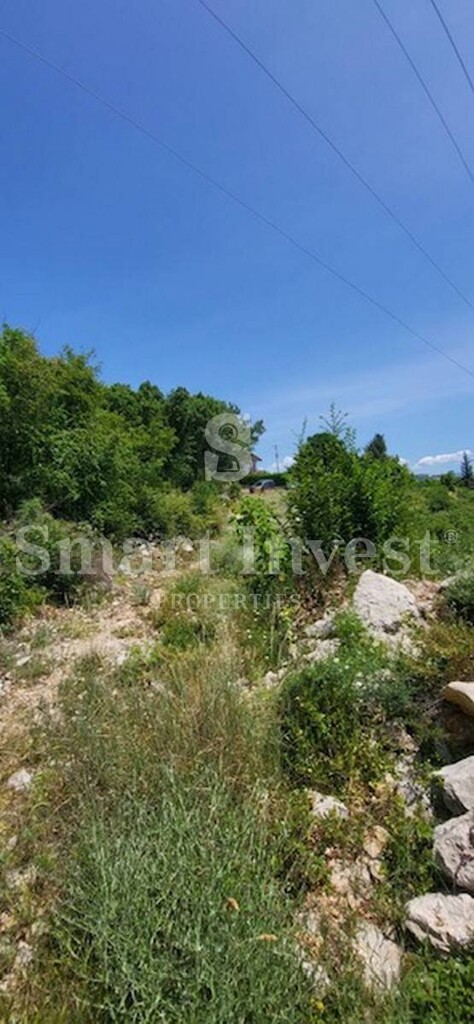 Image 6224225 - 1