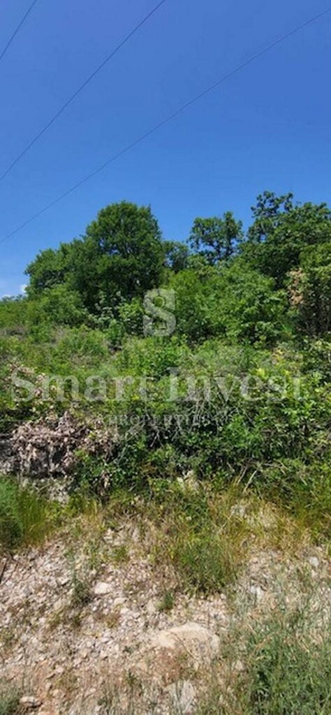 Image 6224225 - 2