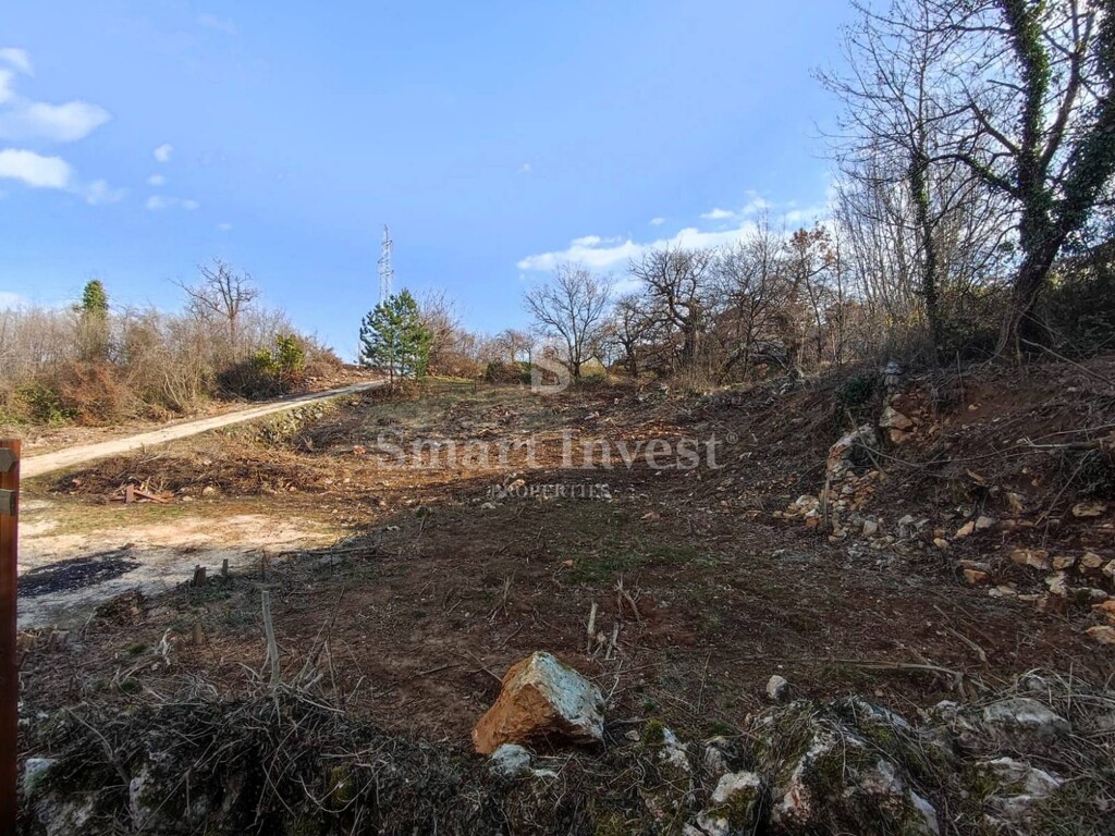 Image 6224235 - 7