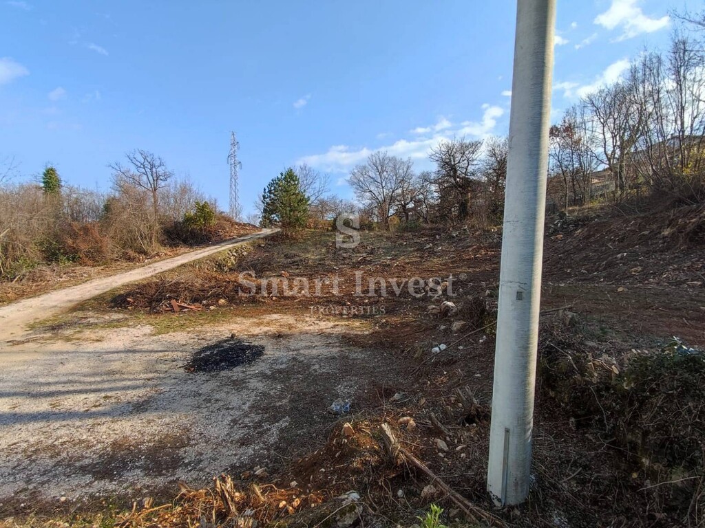 Image 6224235 - 8