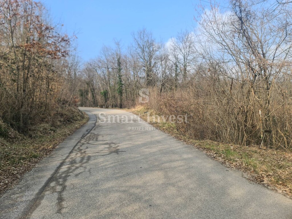 Image 6224265 - 4