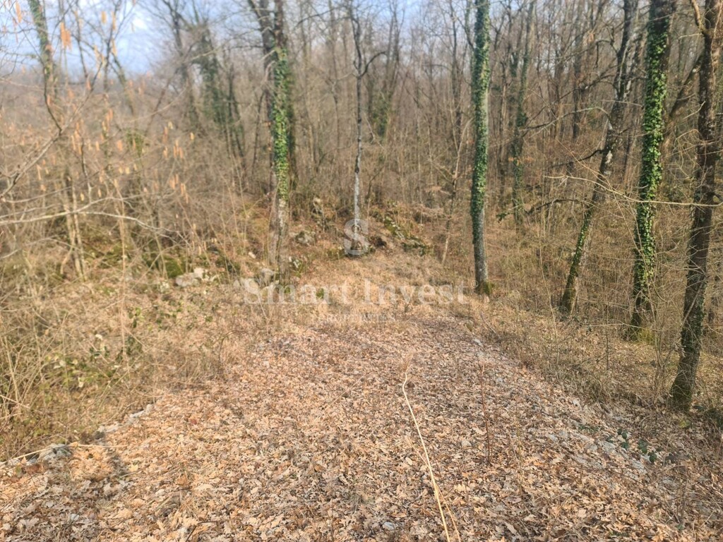 Image 6224265 - 5