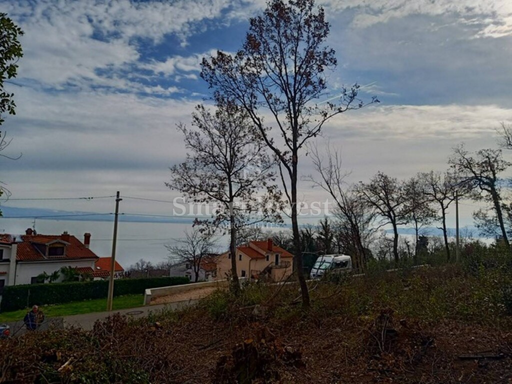 Image 6224287 - 13