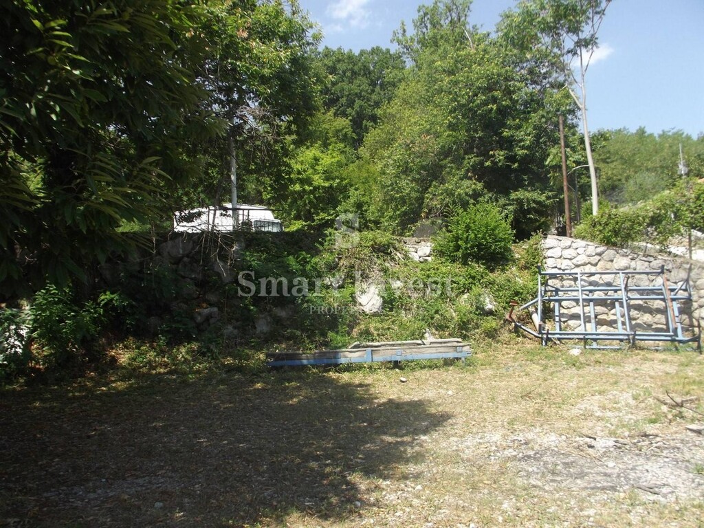 Image 6224287 - 7
