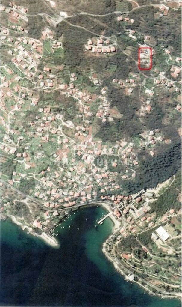 Image 6224287 - 12