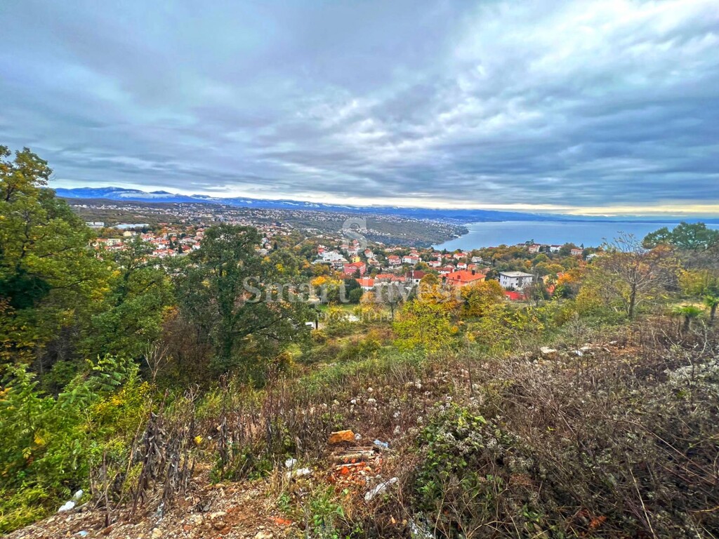 Image 6224305 - 5