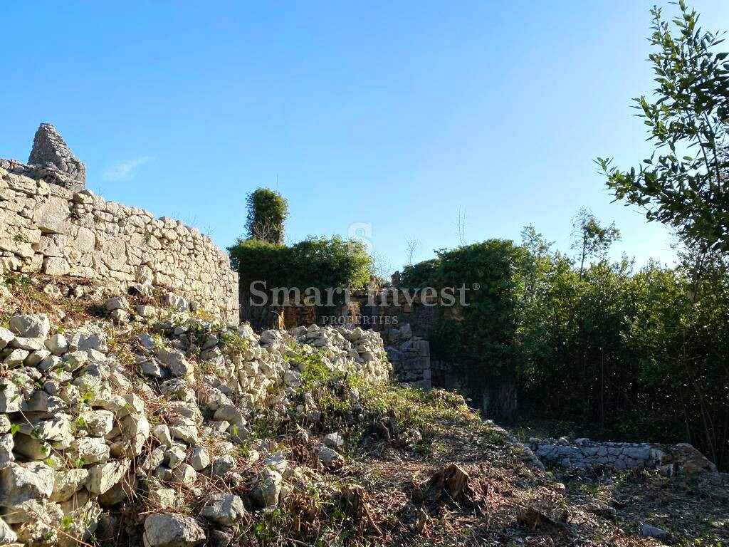 Image 6224307 - 22