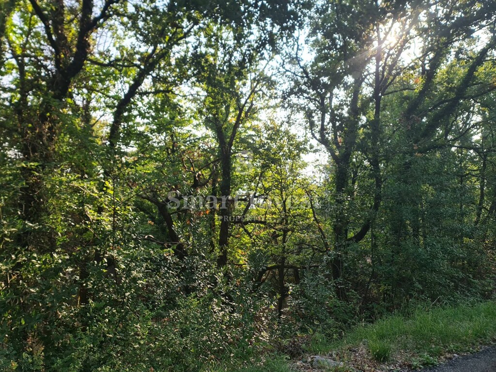 Image 6224309 - 6