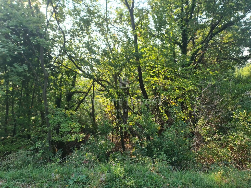 Image 6224309 - 7