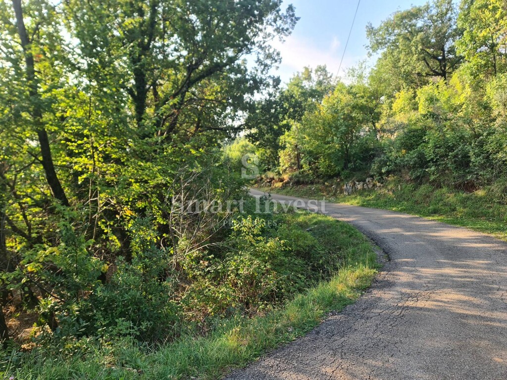 Image 6224309 - 2