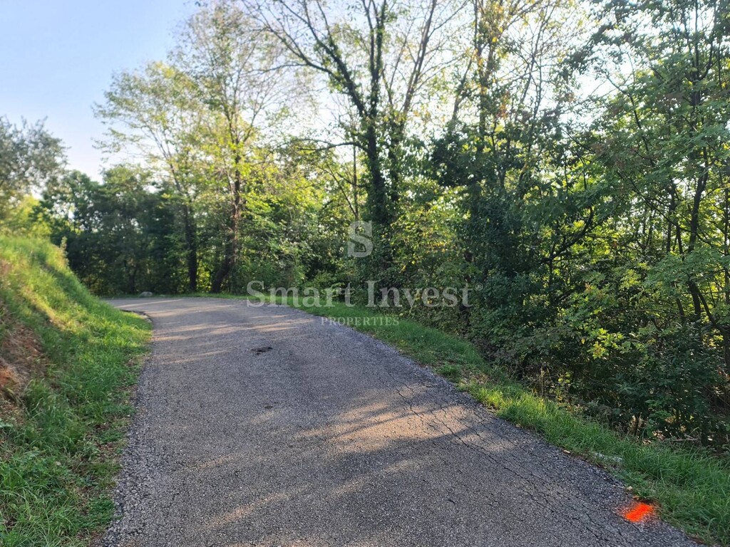 Image 6224309 - 1