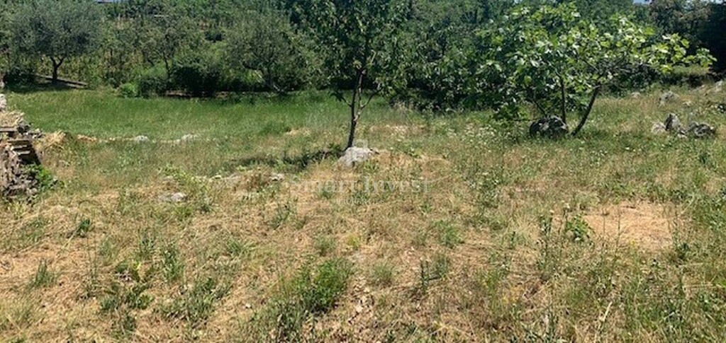Image 6224323 - 4