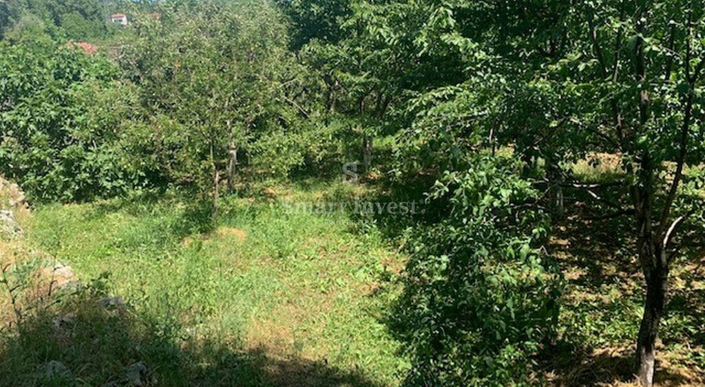 Image 6224323 - 5