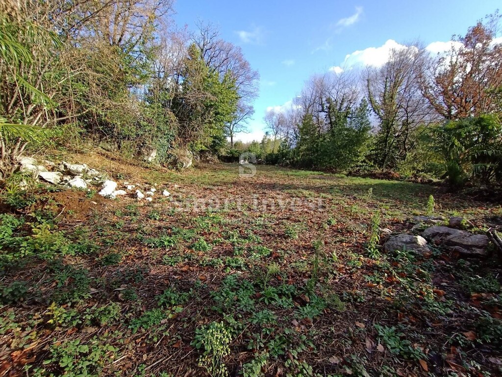 Image 6224328 - 1