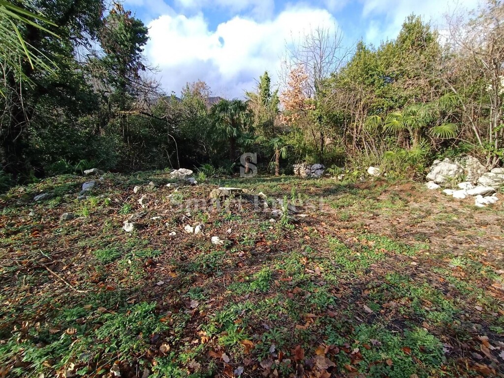 Image 6224328 - 2