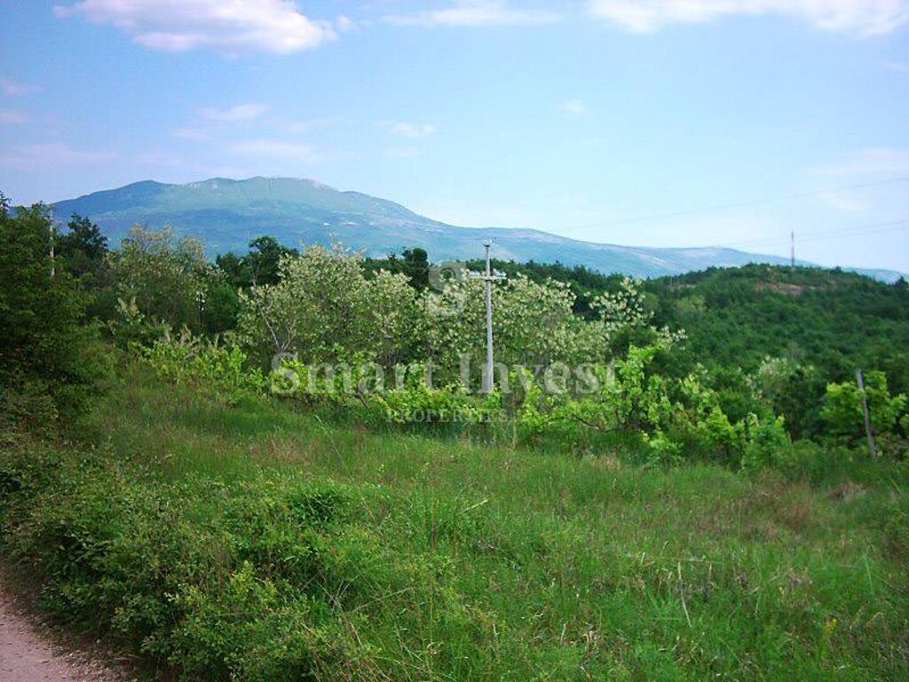 Image 6224336 - 2