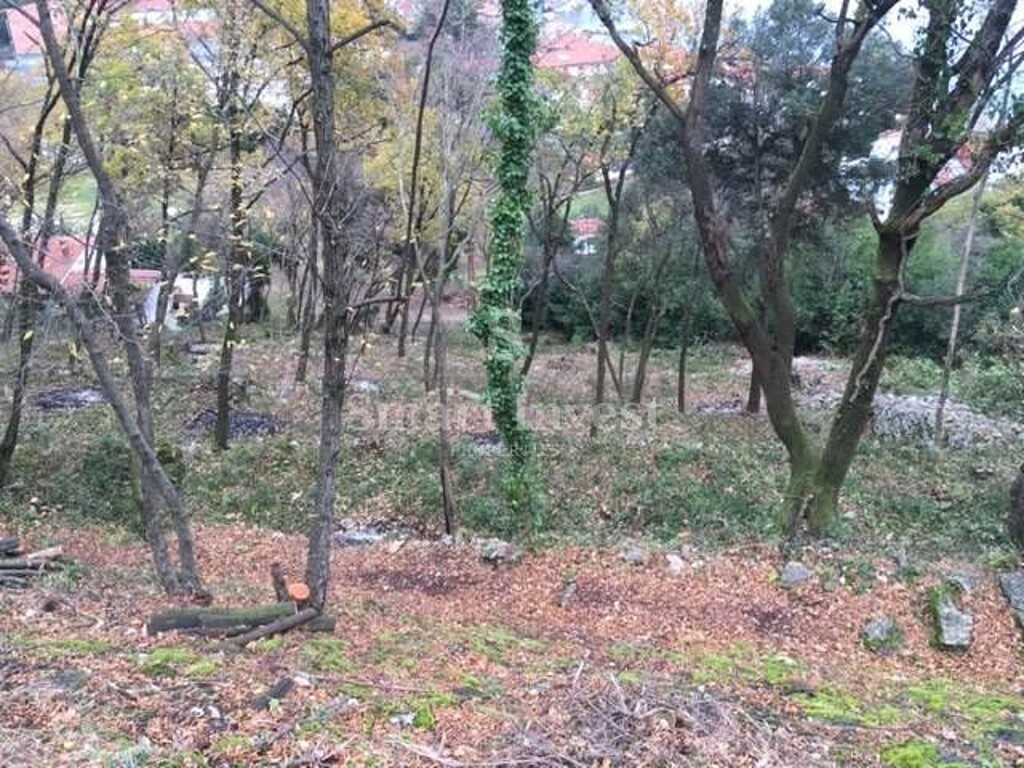 Image 6224384 - 9