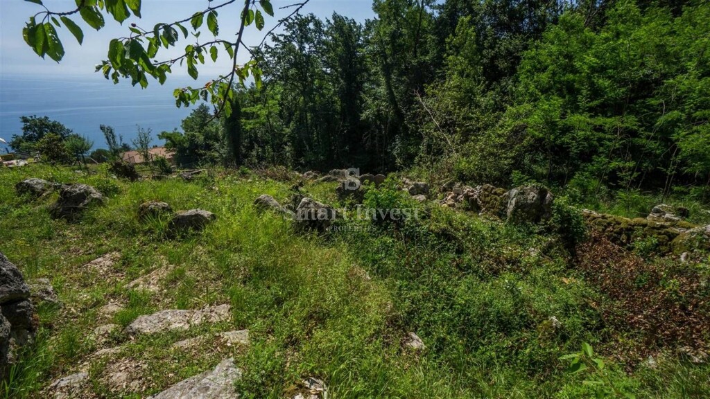 Image 6224394 - 9
