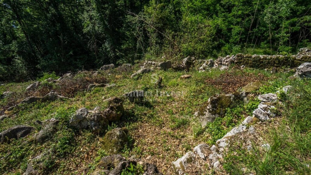 Image 6224394 - 11