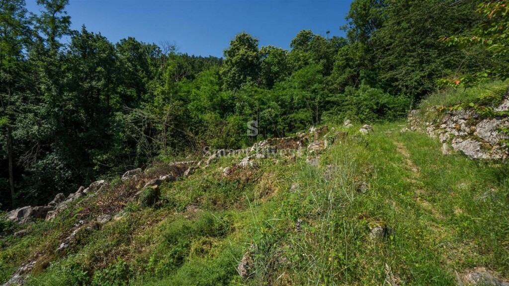 Image 6224394 - 12