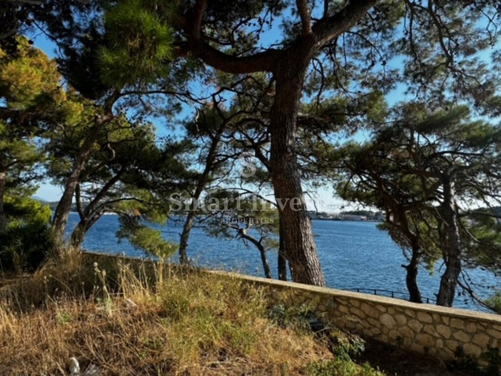 Image 6224395 - 6