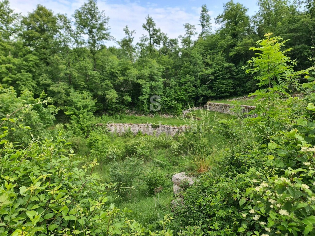 Image 6224406 - 1
