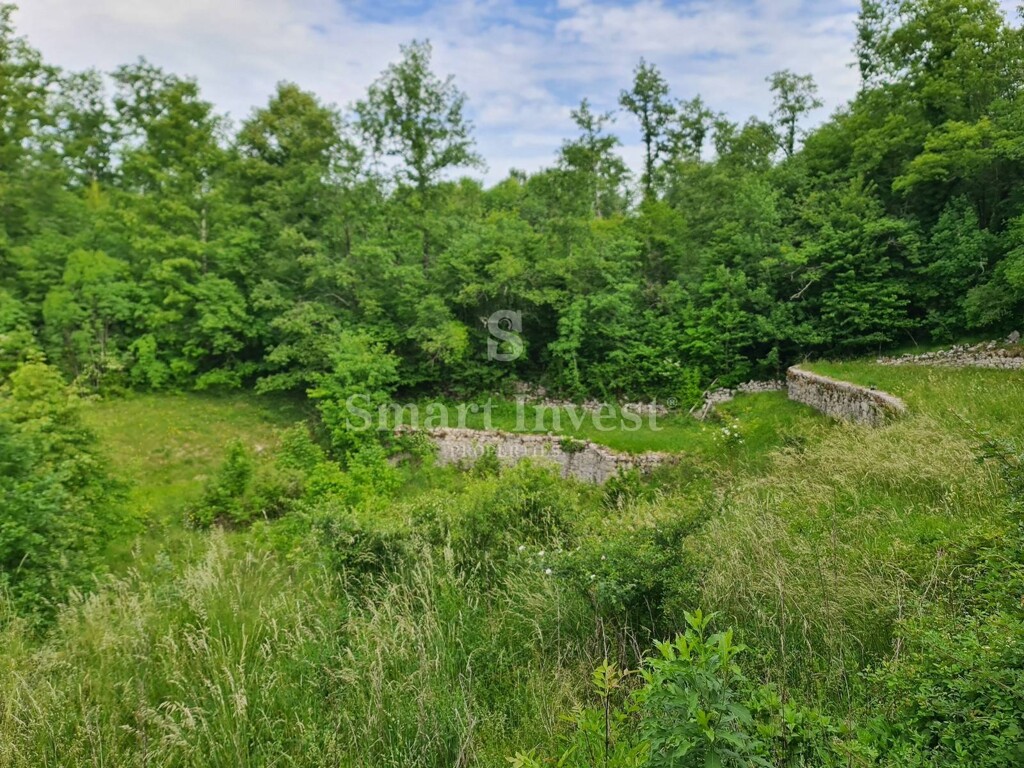 Image 6224406 - 2
