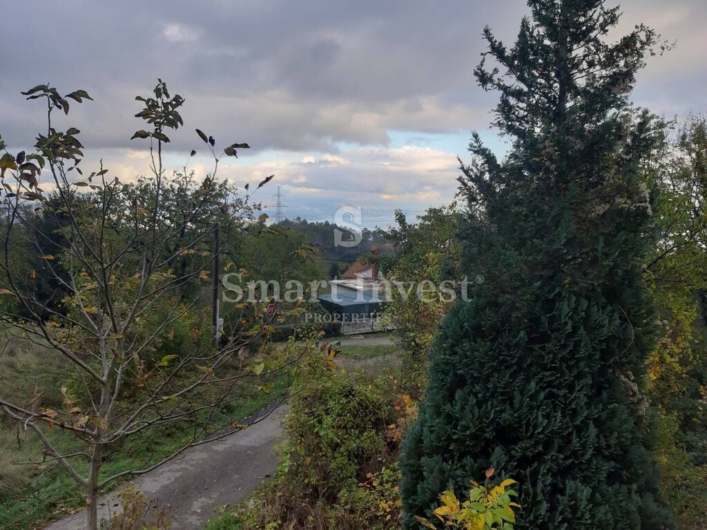Image 6224415 - 1