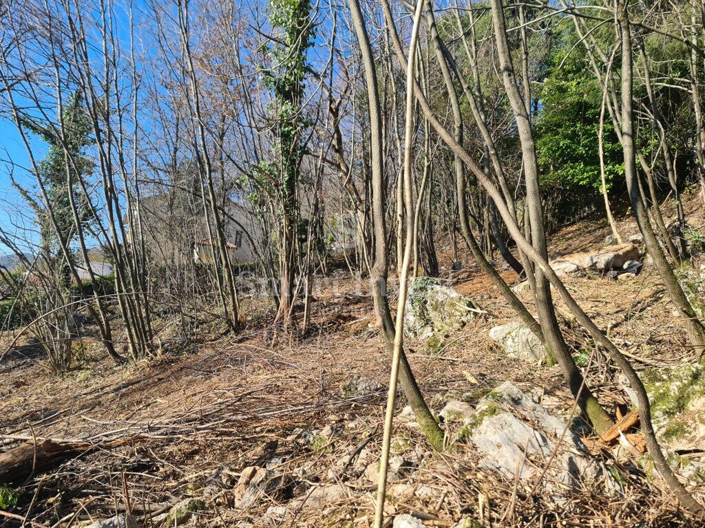 Image 6224433 - 4