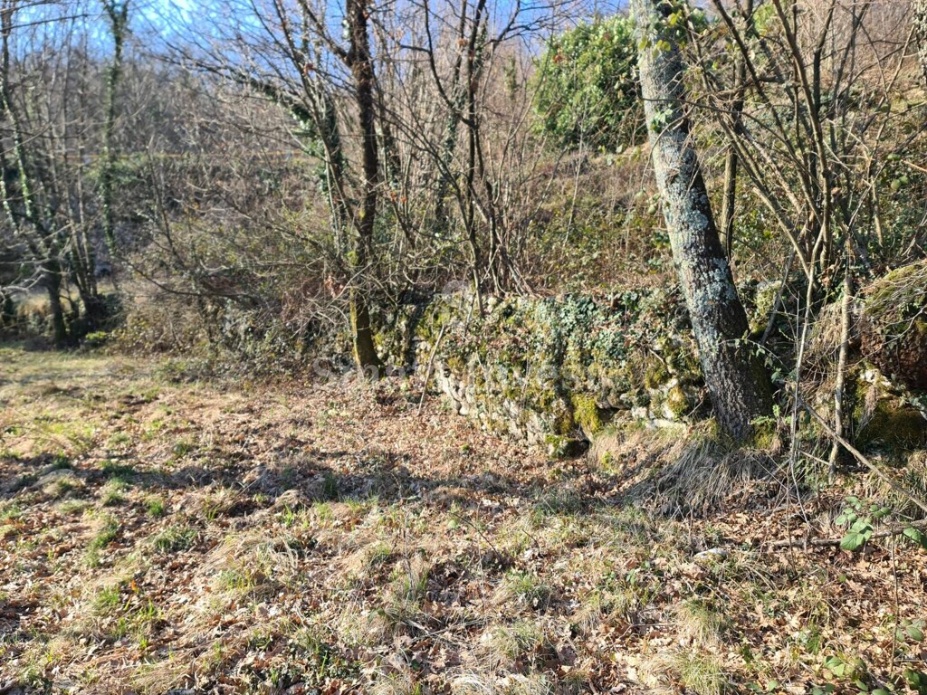 Image 6224434 - 4