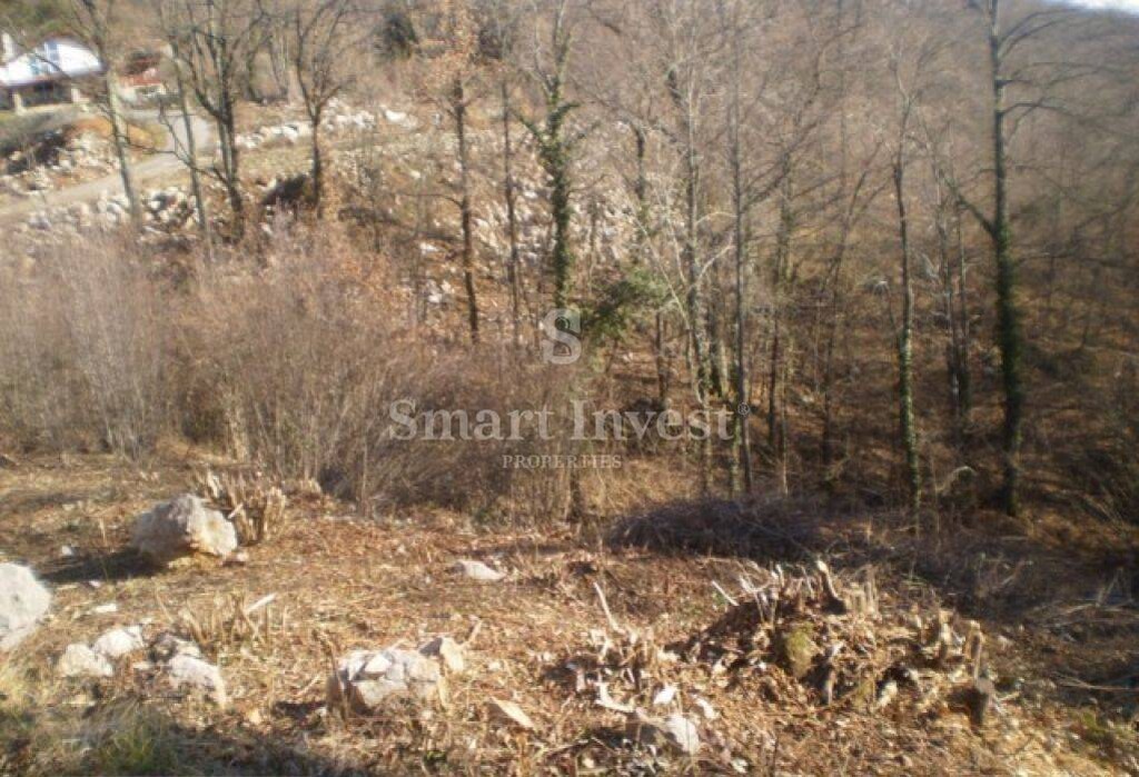 Image 6224440 - 2