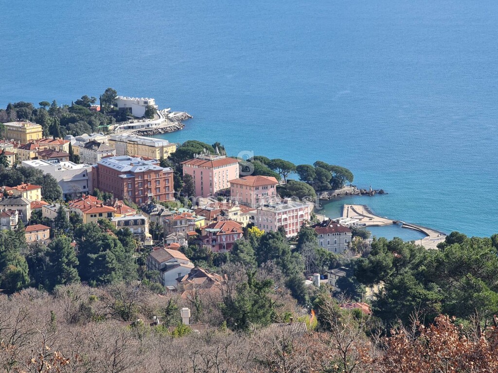 Image 6224447 - 6