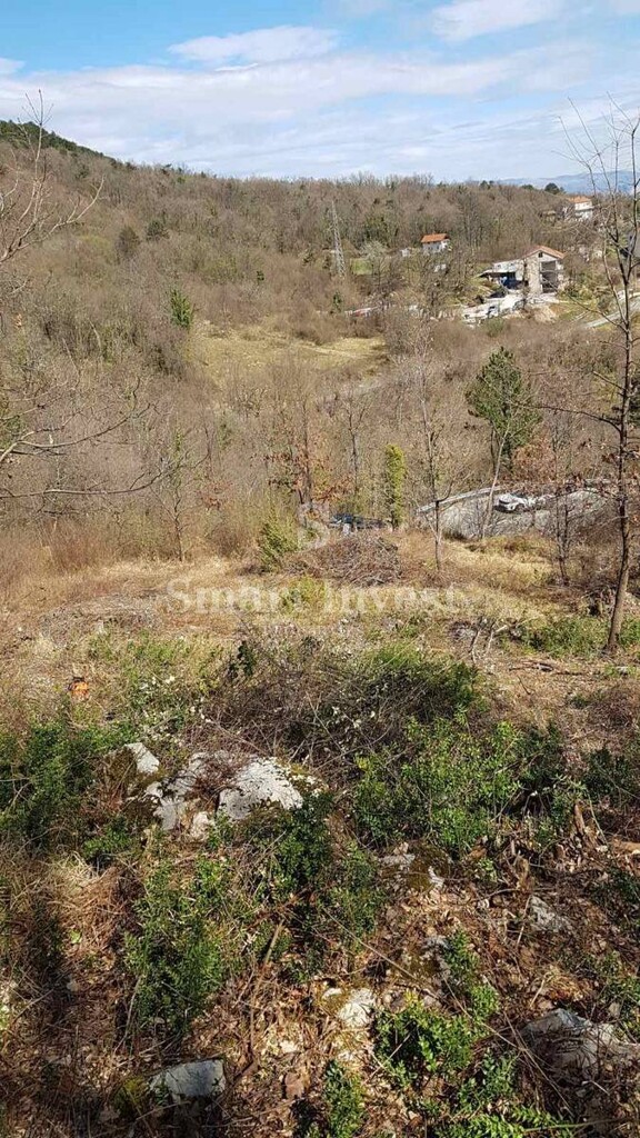 Image 6224449 - 6