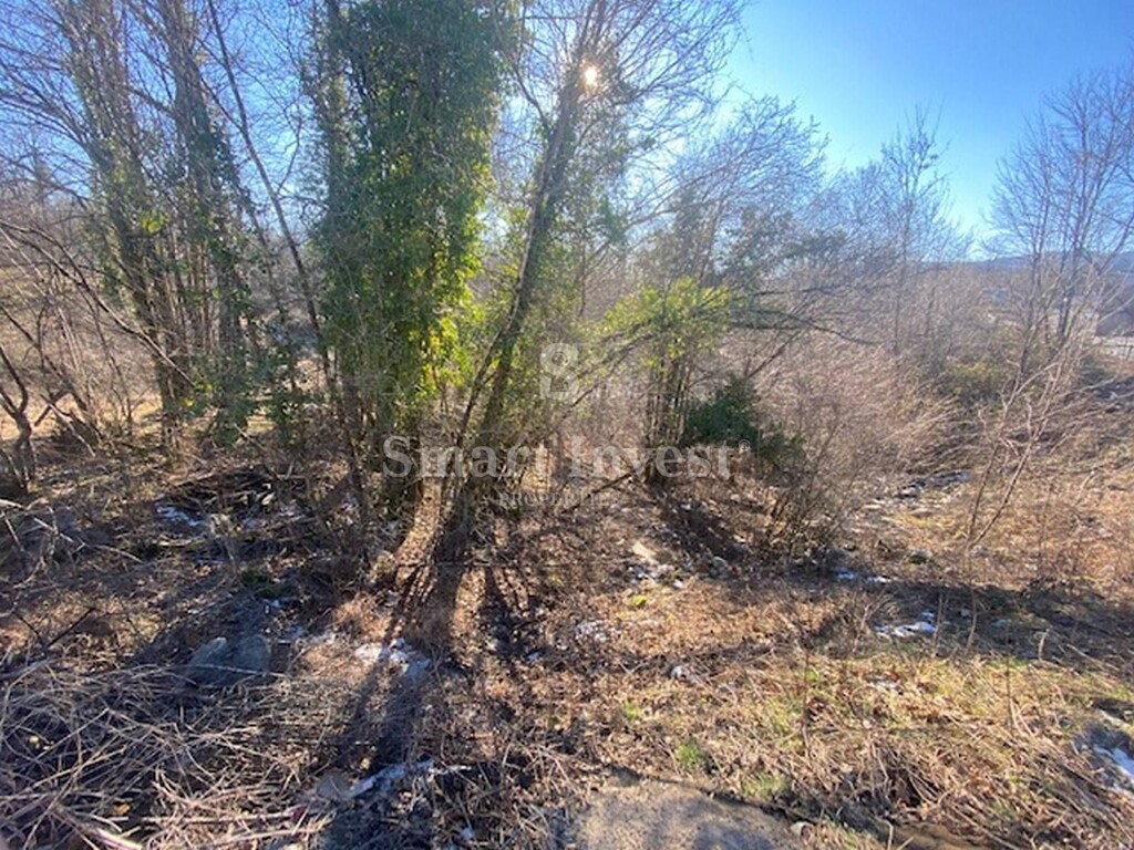 Image 6224450 - 2