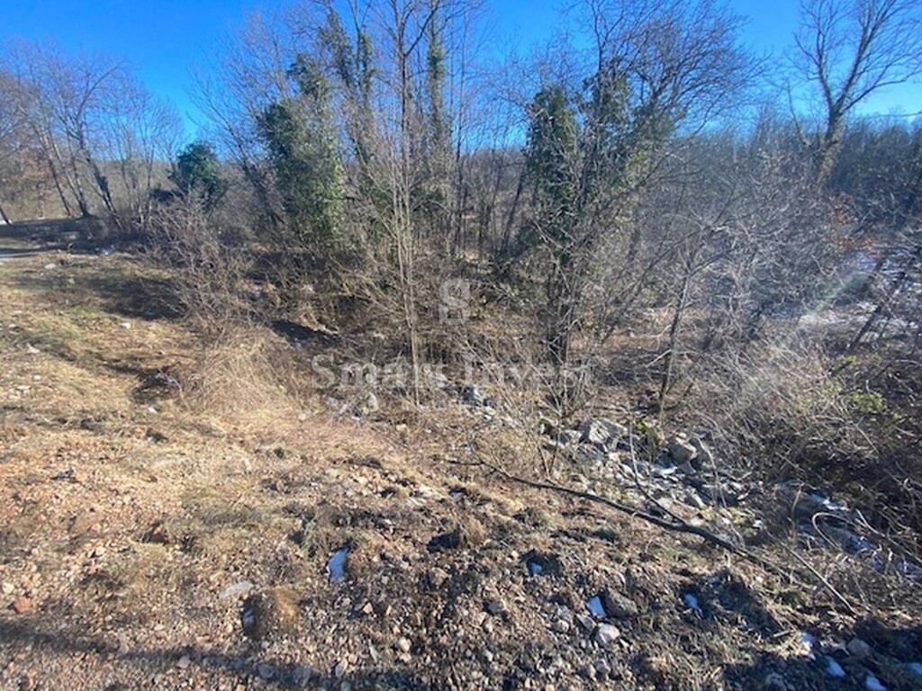Image 6224450 - 6