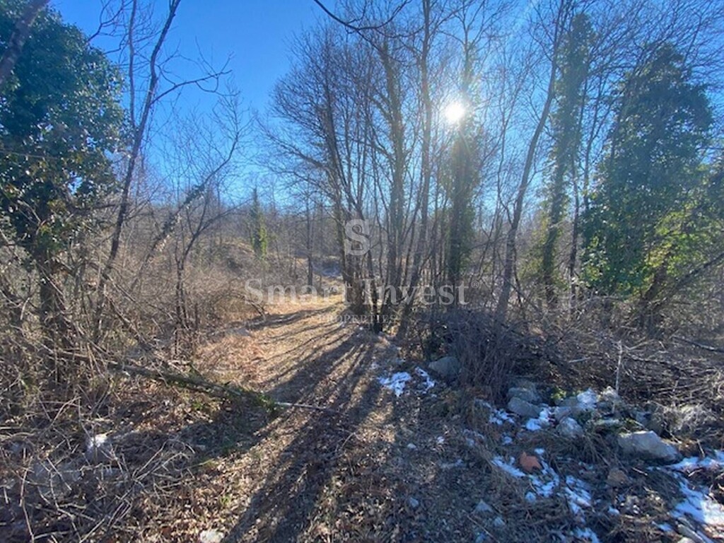Image 6224450 - 1