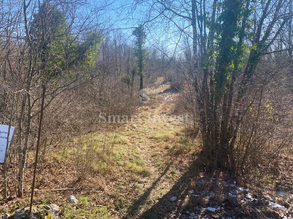 Image 6224451 - 1