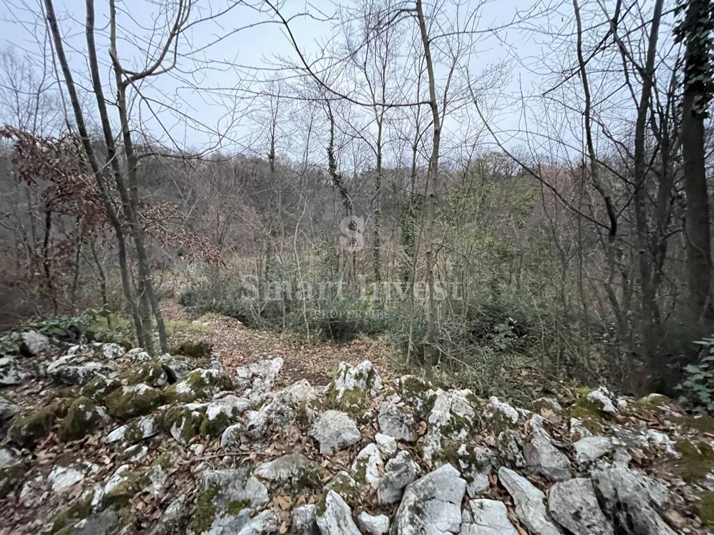 Image 6224458 - 6