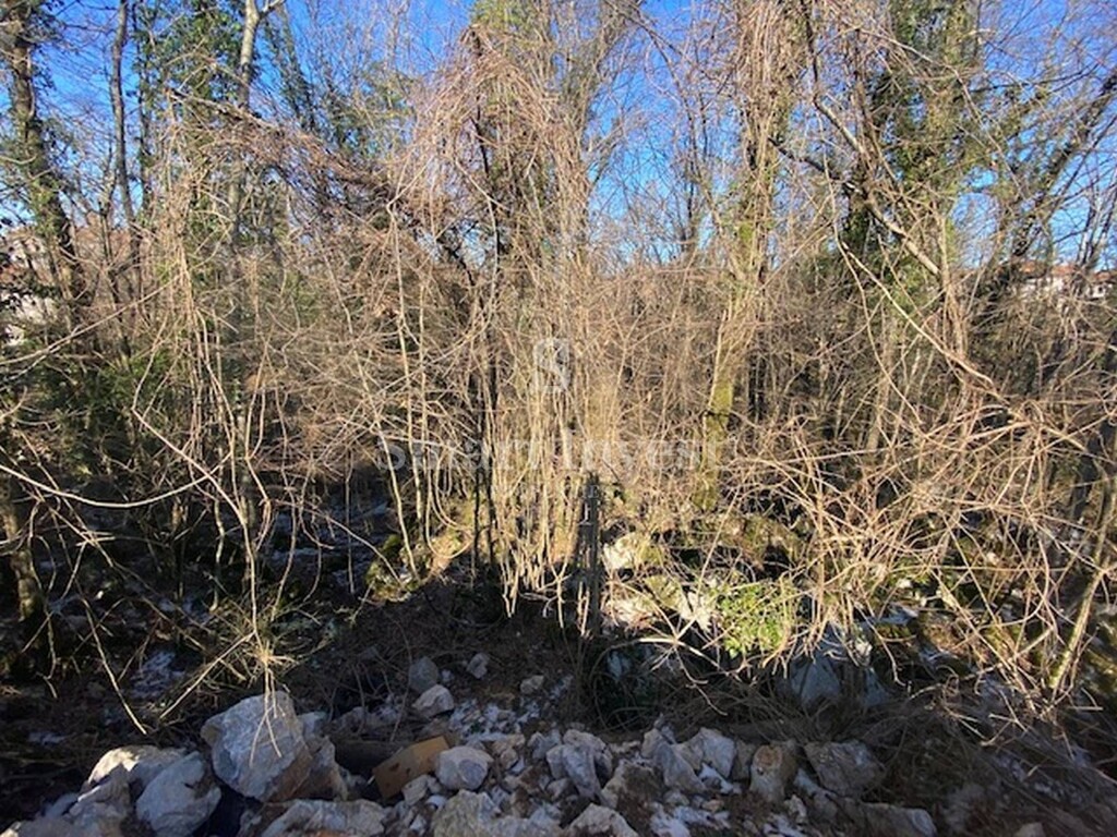 Image 6224462 - 2