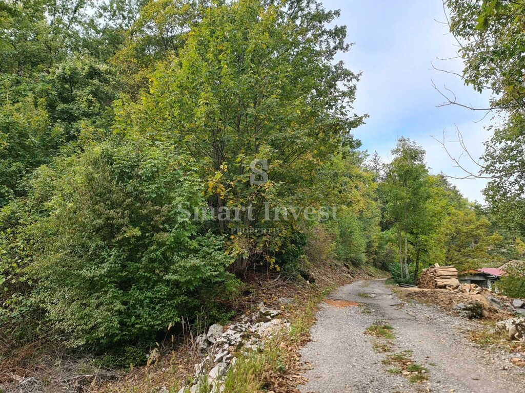 Image 6224470 - 7