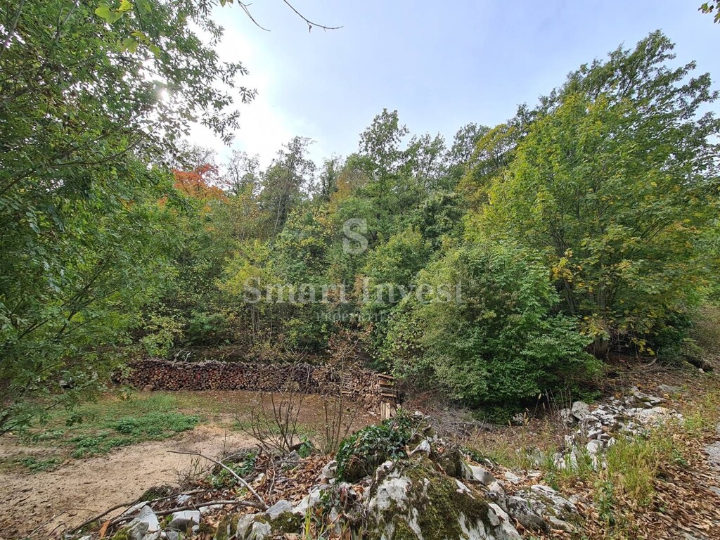 Image 6224470 - 6