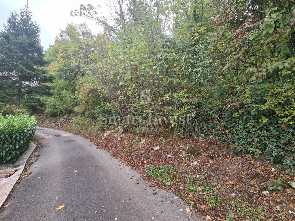 Image 6224470 - 5