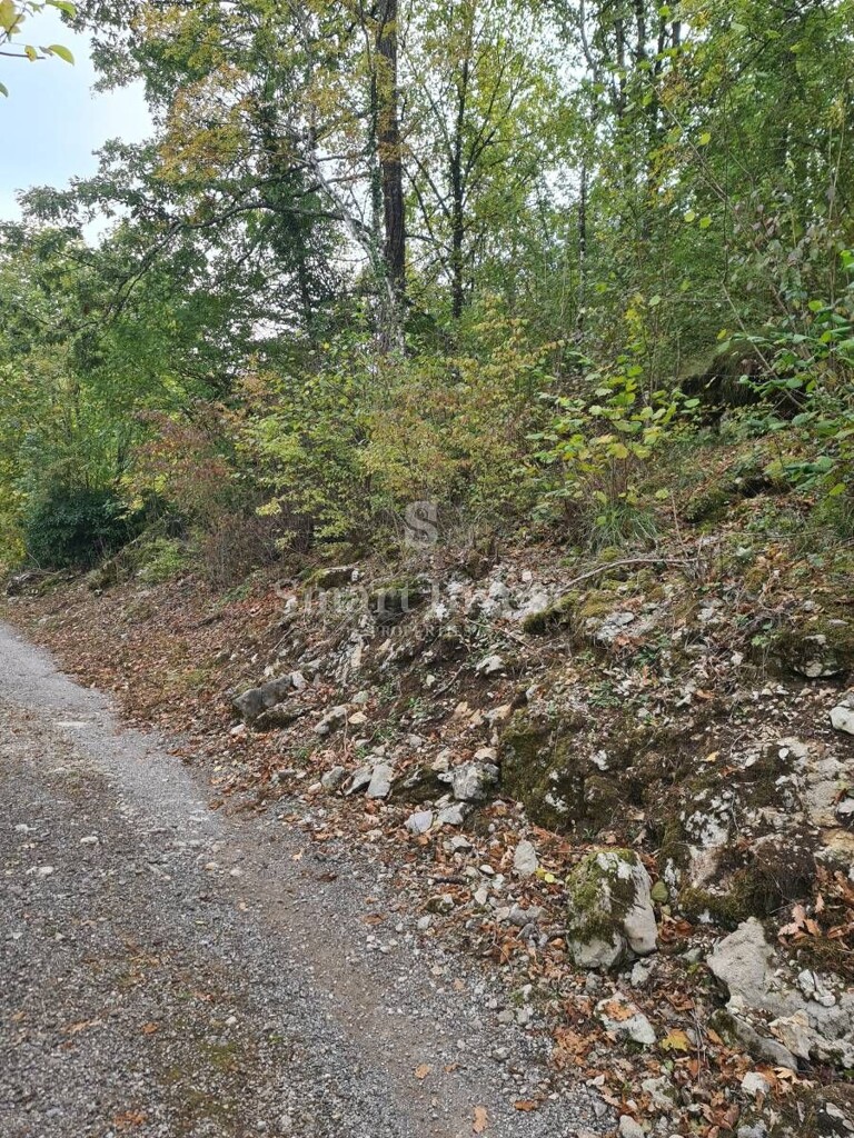 Image 6224470 - 1